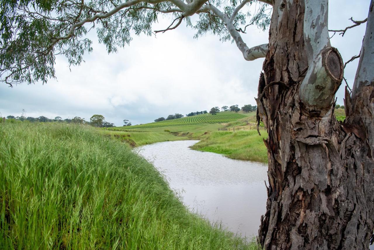 Triple Creek Guest House - Barossa Region Seppeltsfield Eksteriør bilde
