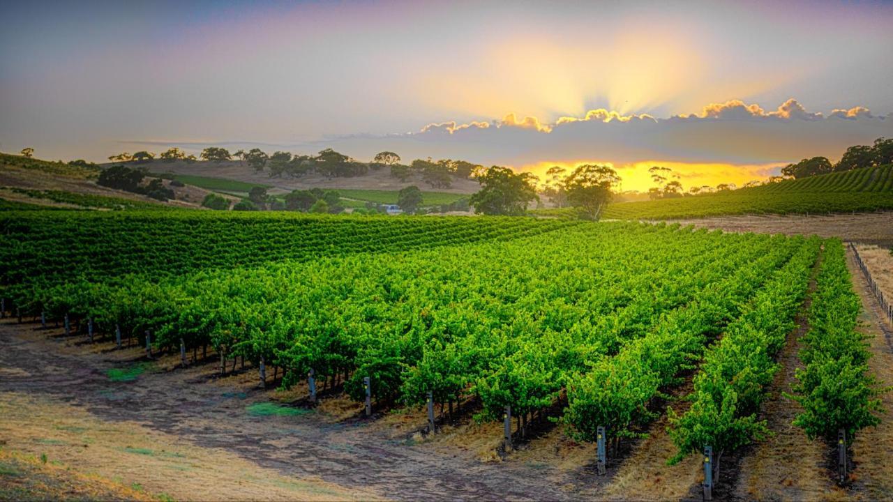 Triple Creek Guest House - Barossa Region Seppeltsfield Eksteriør bilde