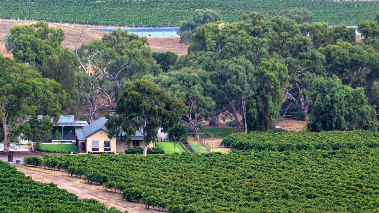 Triple Creek Guest House - Barossa Region Seppeltsfield Eksteriør bilde